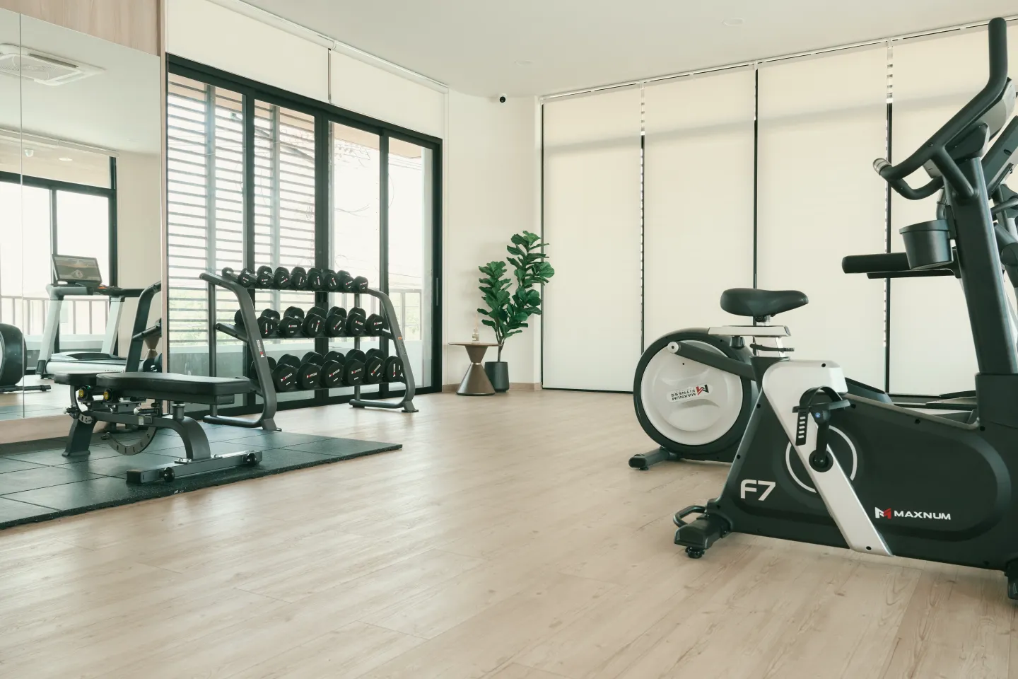 Fitness and Yoga Studio-img